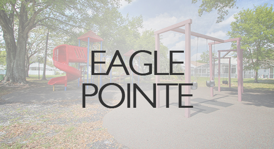 Eagle Pointe Image
